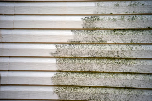 Affordable siding repair and maintenance services in Wixom, MI